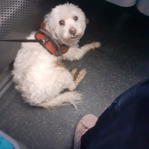 Photo de profil de Jelly