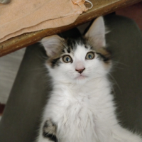 Photo de profil de Neige 