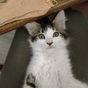 Photo de profil de Neige 