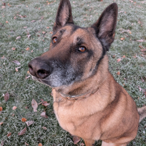 Photo de profil de Alpha