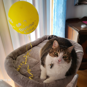 Photo de profil de Délia 