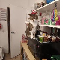 Photo de profil de Loulou