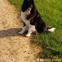 Photo de profil de Oki