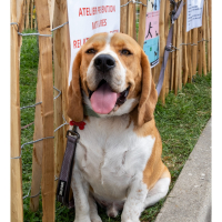 Photo de profil de UGO