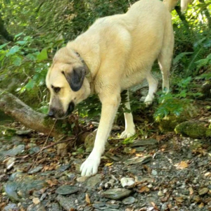 Photo de profil de SKY