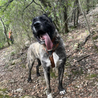 Photo de profil de ARLEY