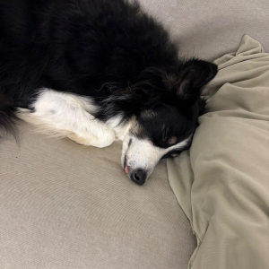 Photo de profil de Sly 