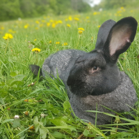 Photo de profil de Janette