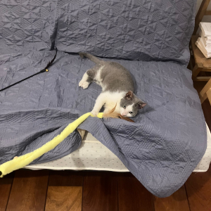 Photo de profil de Lumen