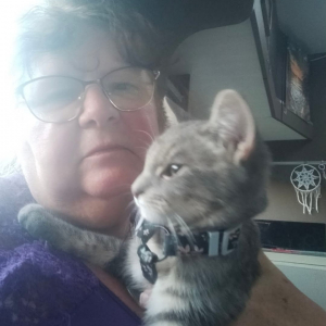 Photo de profil de Wellan 