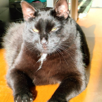 Photo de profil de Unik