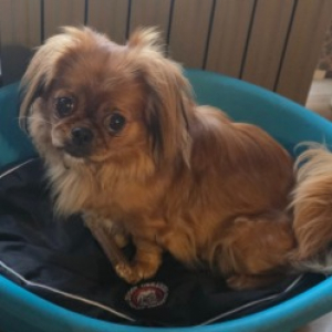 Photo de profil de Bella