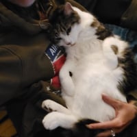 Photo de profil de Tom