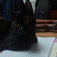 Photo de profil de Darkness