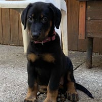 Photo de profil de Tessa