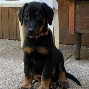 Photo de profil de Tessa