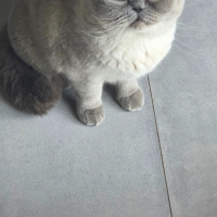 Photo de profil de Moon