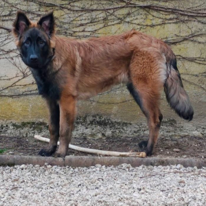 Photo de profil de ASH