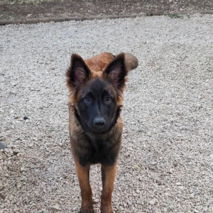 Photo de profil de ASH