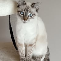 Photo de profil de Queen
