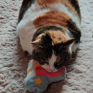 Photo de profil de PRINCESSE