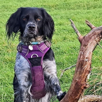 Photo de profil de Freyja