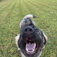Photo de profil de Alkan