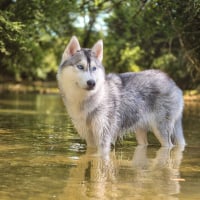 Photo de profil de Uranus