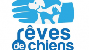 Illustration : "Refuge Rêves de Chiens"