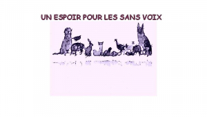 Illustration : "Un Espoir Pour Les Sans Voix"