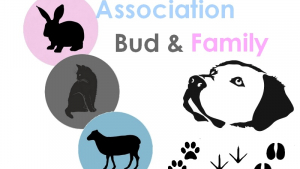 Illustration : "BUD & FAMILY"