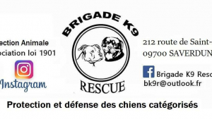 Illustration : "Brigade K9 RESCUE"