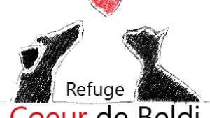 Illustration : "refuge coeur de beldi "