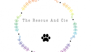 Illustration : "The Rescue And Cie"