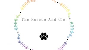 Illustration : "The Rescue And Cie"