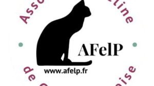 Illustration : "Association Féline de Cergy Pontoise - AFELP"