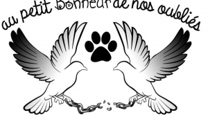 Illustration : "Au petit bonheur de nos oubliés"