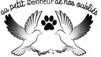 Illustration : "Au petit bonheur de nos oubliés"
