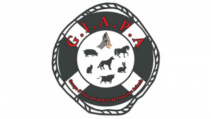 Illustration : "Association GIAPA"