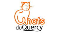 Illustration : "Chats du Quercy"