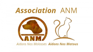 Illustration : "Aidons Nos Molosses - ANM"