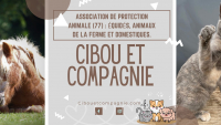 Illustration : "Association Cibou et Compagnie"