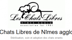 Illustration : "Chats libres de Nîmes-agglo"