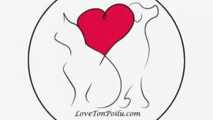 Illustration : "LOVETONPOILU.COM"