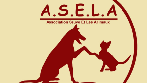 Illustration : "Association ASELA"