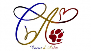 Illustration : "Association Cœur d'Asha"