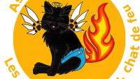 Illustration : "Les amis de Shadow, chat de feu"