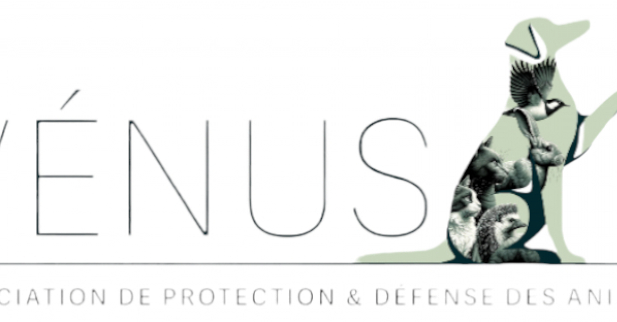 Association Vénus