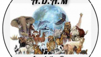 Illustration : "Association Adam ( Association Des Animaux Maltraités)"