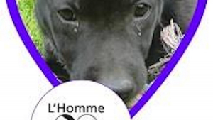 Illustration : "L'Homme et son Chien"